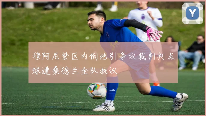 穆阿尼禁区内倒地引争议裁判判点球遭桑德兰全队抗议